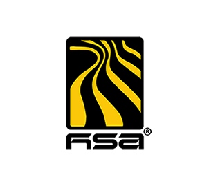 عميل N10